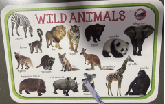 Jolly Kids Picture Learning Educational Table Mat - Wild Animals